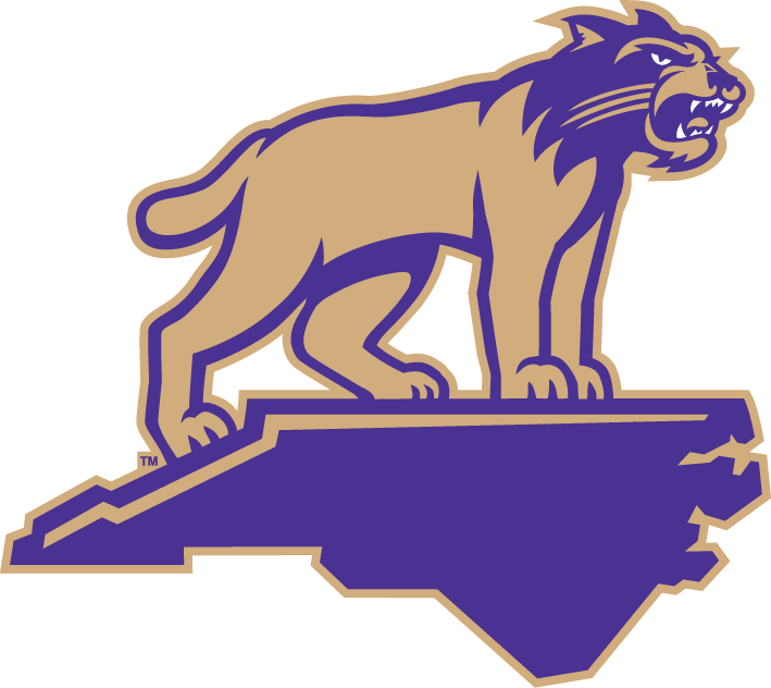 Western Carolina Catamounts 2008-Pres Alternate Logo v4 diy DTF decal sticker